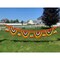9.6 Feet Jumbo Marigold Jasmine Door Toran Hanging Valance Marygold Festival Garland Puja Diwali Decoration Day of the Dead Dia De Los Muertos Ofrenda Mexican Fiesta Halloween Decor